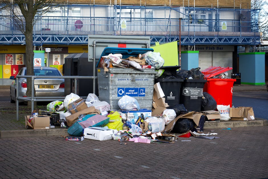 What to know about same day rubbish collection Greenwich